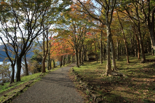 芦ノ湖　紅葉