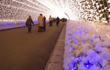 なばなの里 イルミネーション