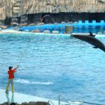 名古屋港水族館