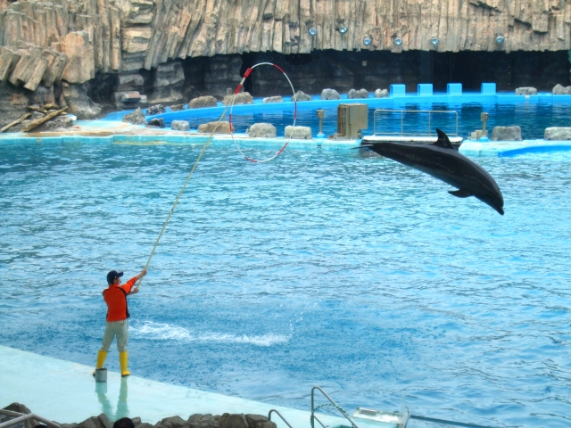 名古屋港水族館