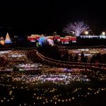 昭和記念公園 イルミネーション