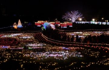 昭和記念公園 イルミネーション