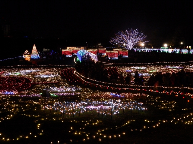 昭和記念公園 イルミネーション