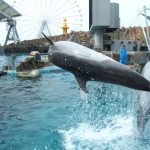 名古屋港水族館