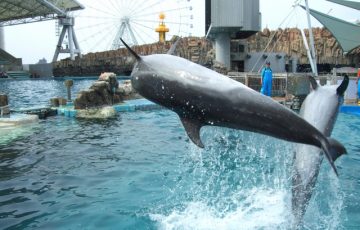 名古屋港水族館