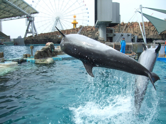 名古屋港水族館