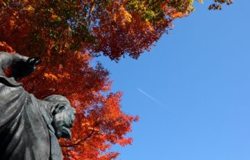 高尾山　紅葉