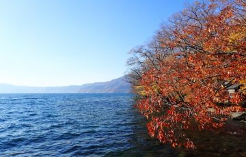 十和田湖　紅葉