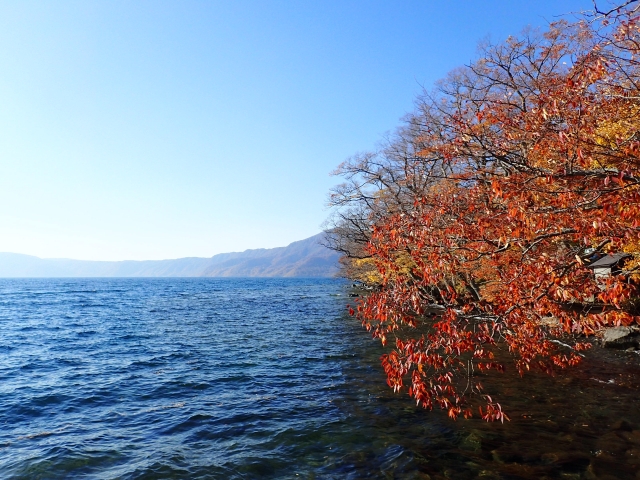 十和田湖　紅葉