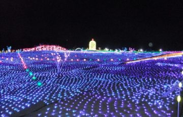 東京ドイツ村 イルミネーション