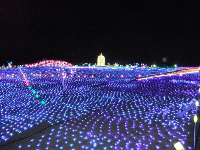 東京ドイツ村 イルミネーション