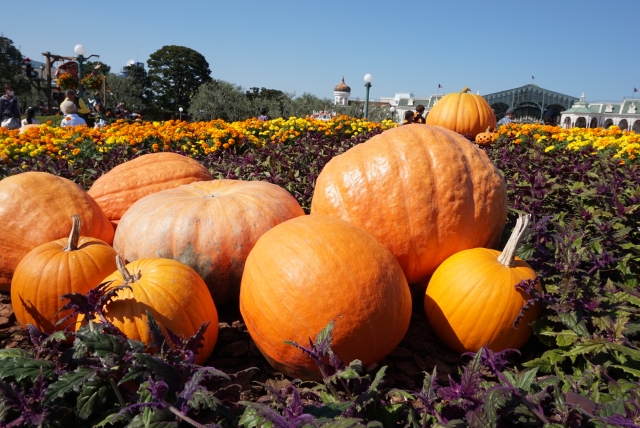 ディズニー ハロウィン